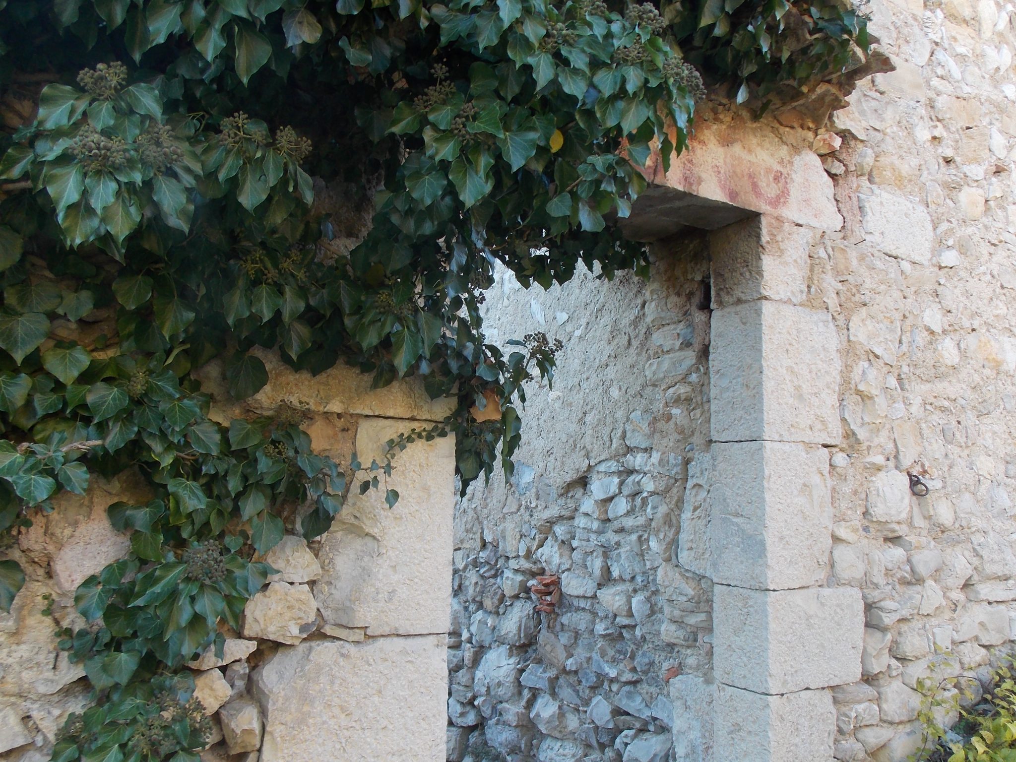 Ruine dans le vieux village