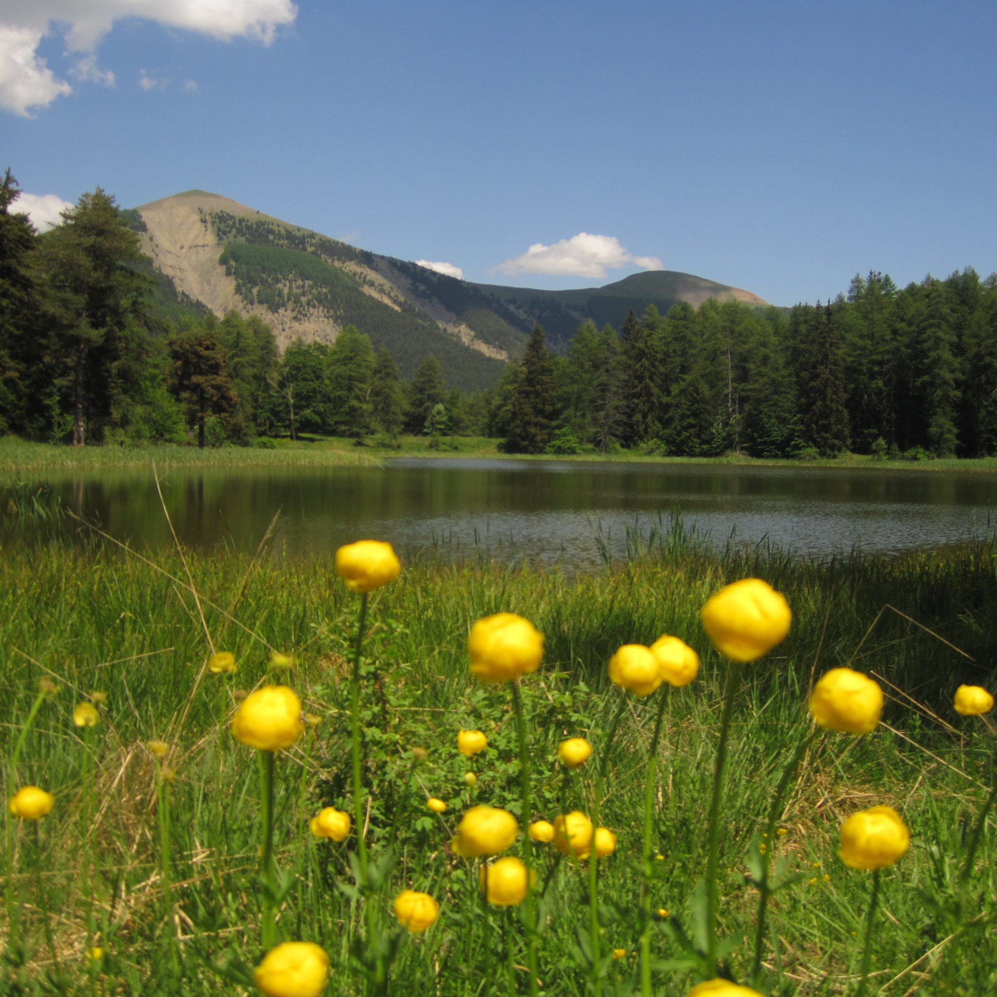 Le massif des Monges 1