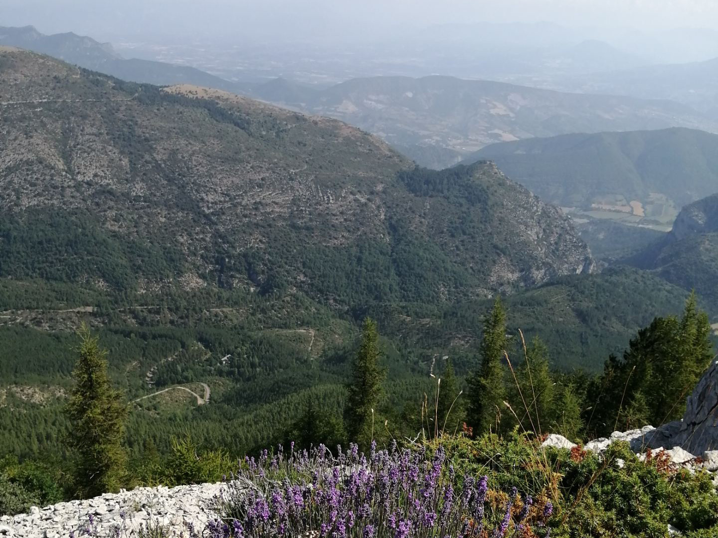 Montagne de la Lure 1